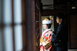 落ち着いた光の中