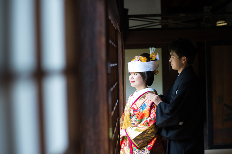 落ち着いた光の中