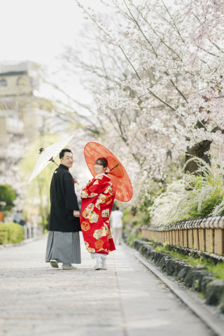京都の街並み（桜満開！）