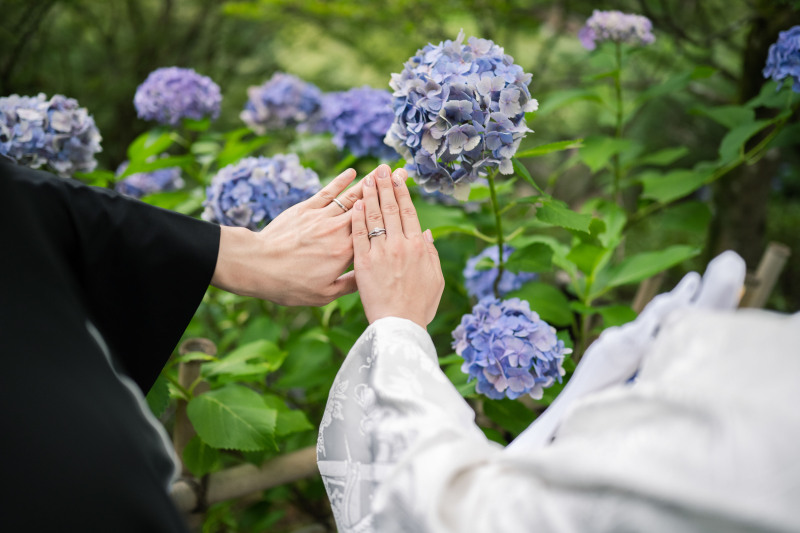 紫陽花色づく7月