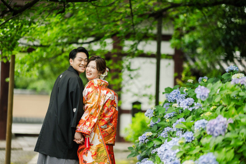 紫陽花の季節