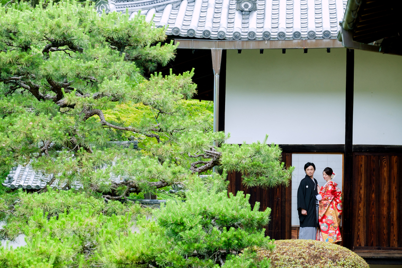 ただただ絵になる様に