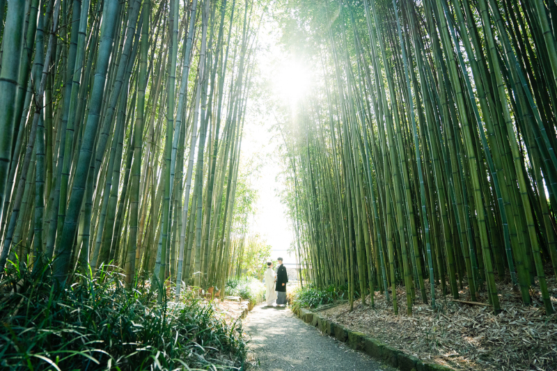 ところ変わって