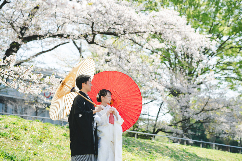 桜と陽と