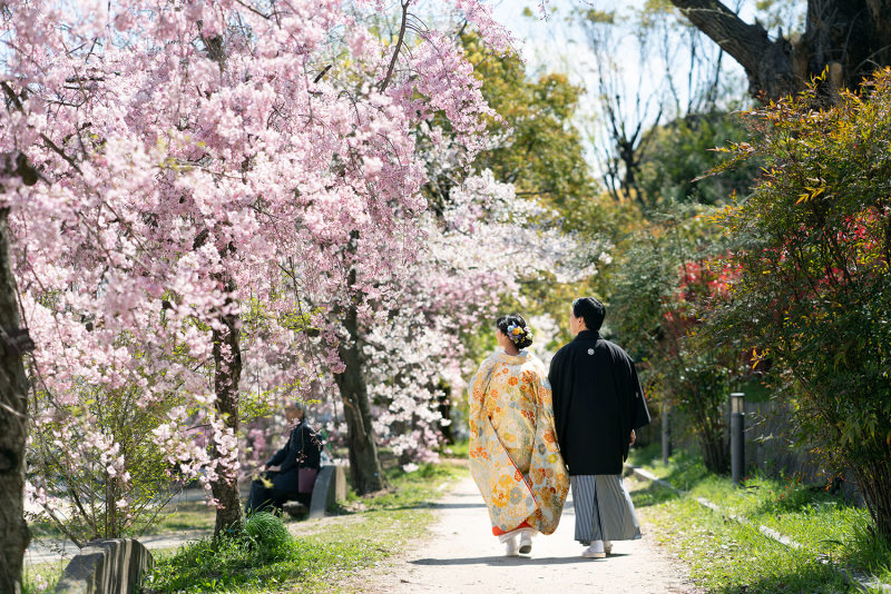 ２０２０年桜季節最後の撮影