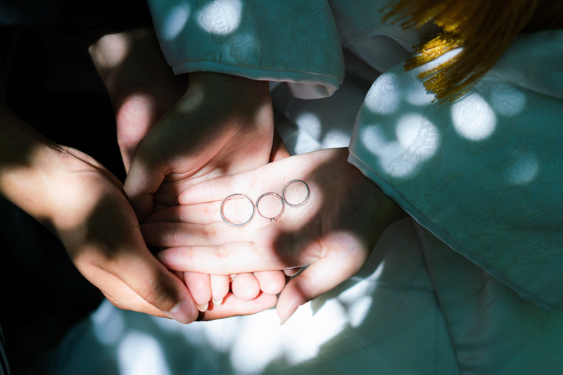 木漏れ日キラキラ