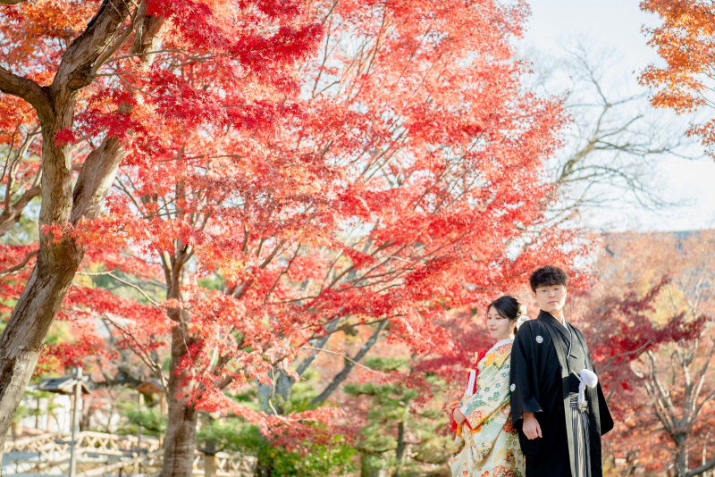 12月の祇園と寺院ロケ