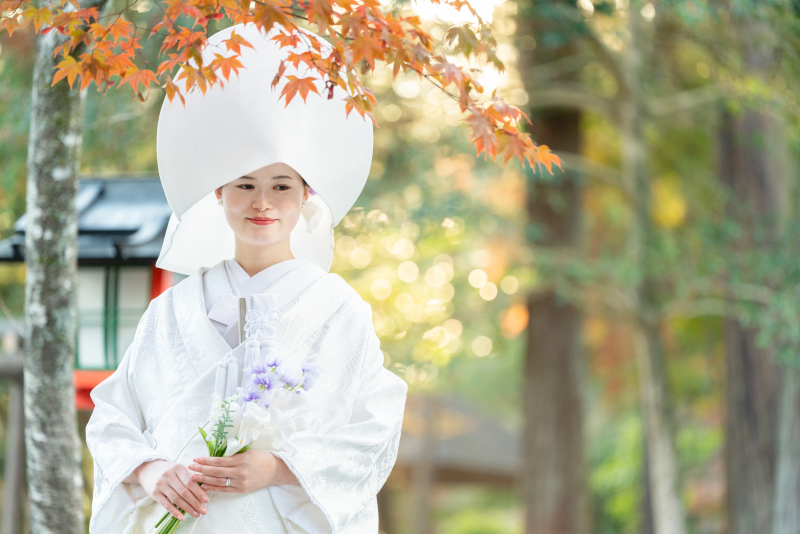紅葉シーズンは、この神社で
