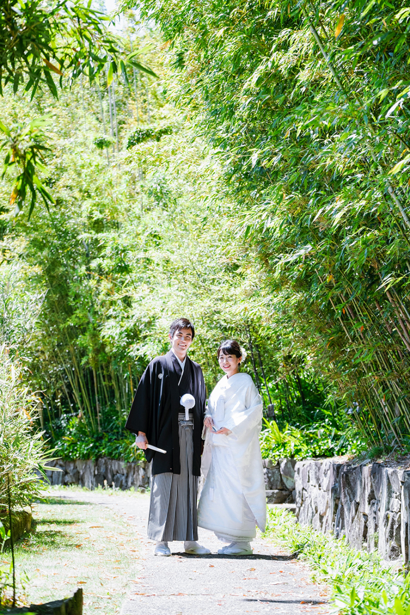 夏の光をいっぱいに受けて