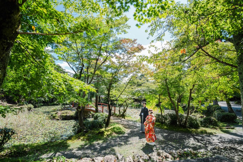 青紅葉と前撮り