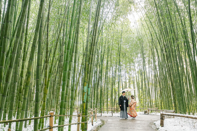 竹と前撮り