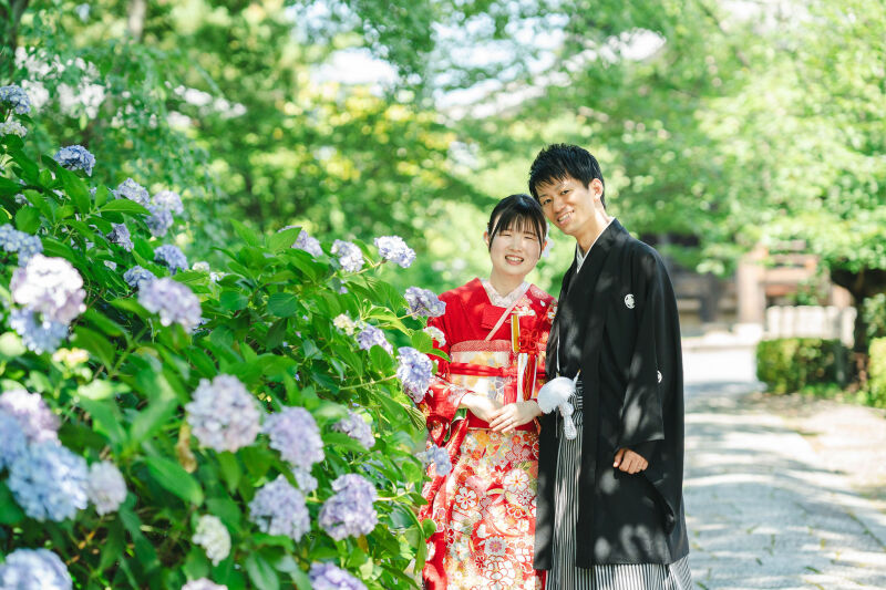 紫陽花
