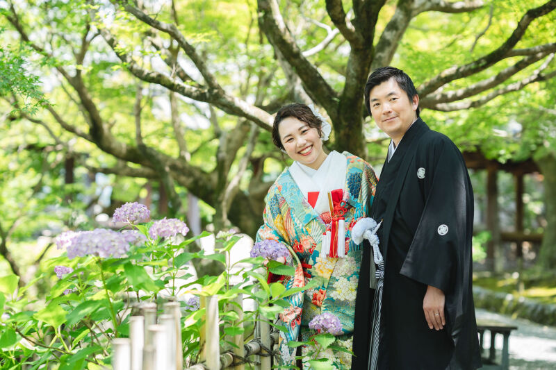 紫陽花