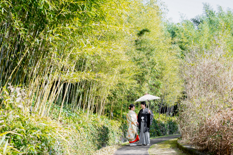 色打掛で竹林へ