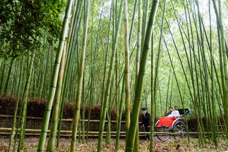 竹林で人力車