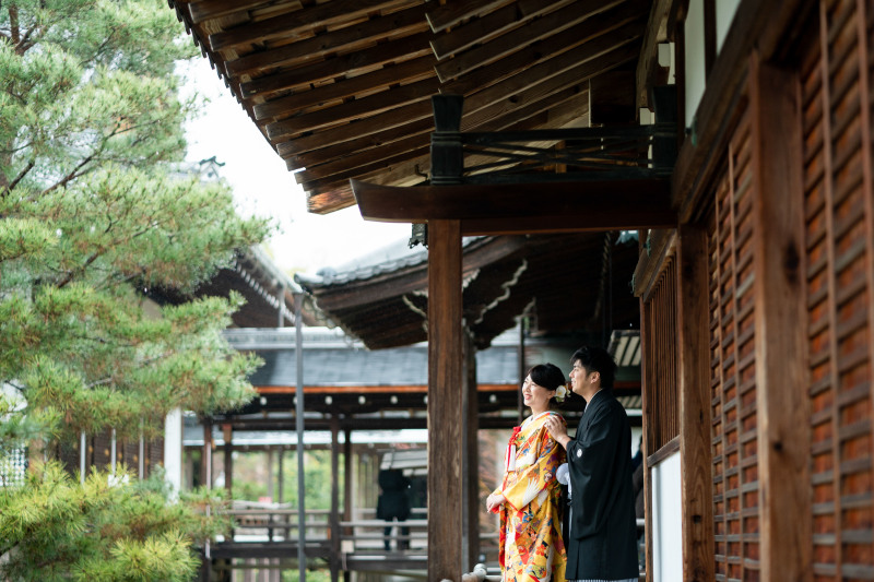 見上げてみたり