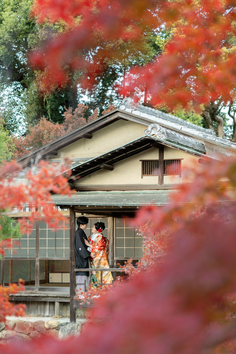 どこをみても紅葉