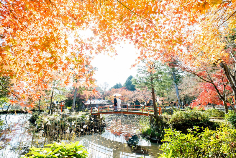 紅葉が綺麗です