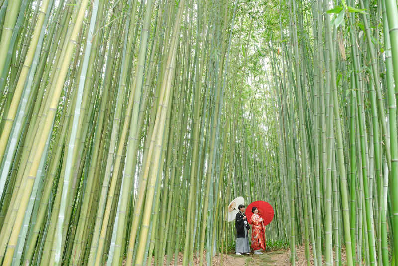 広々とした中で