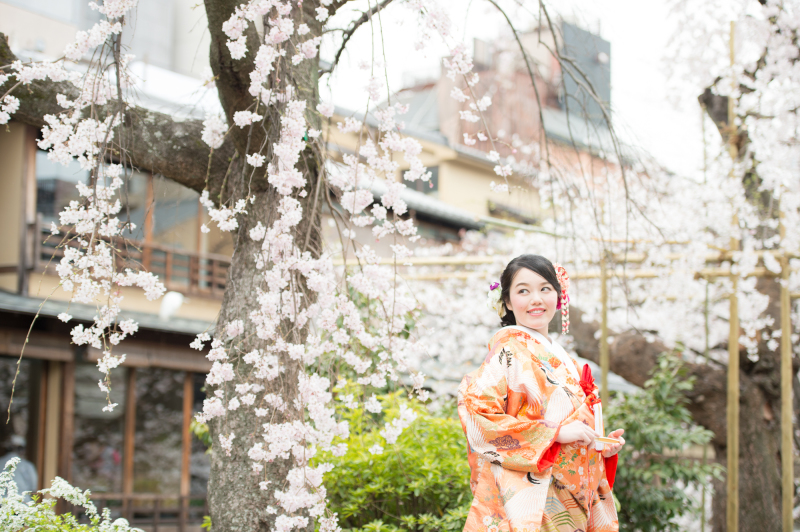 桜と花嫁さん