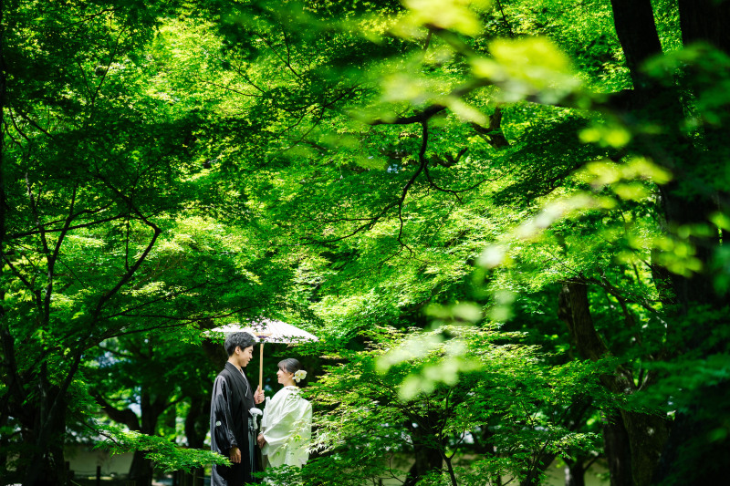 スポットライト