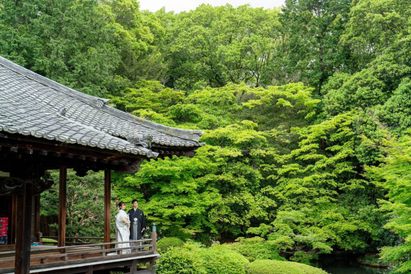 随心院さん定番のショット