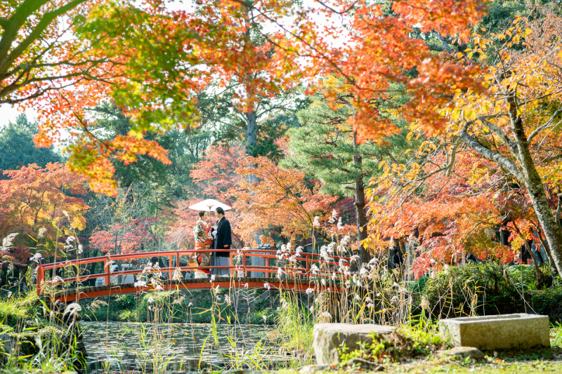 世界観がすごい