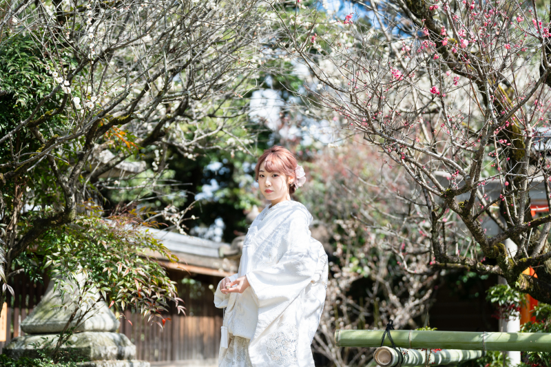 梅の季節、花嫁衣装2着前撮り