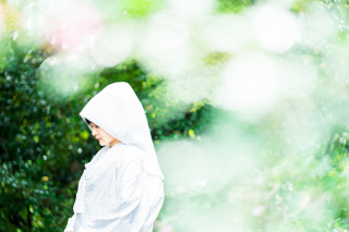 秋めいてきました