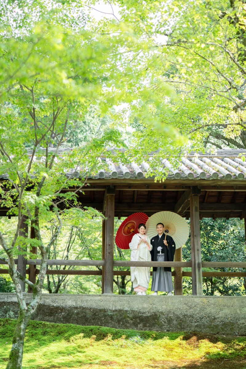 緑の綺麗な東福寺