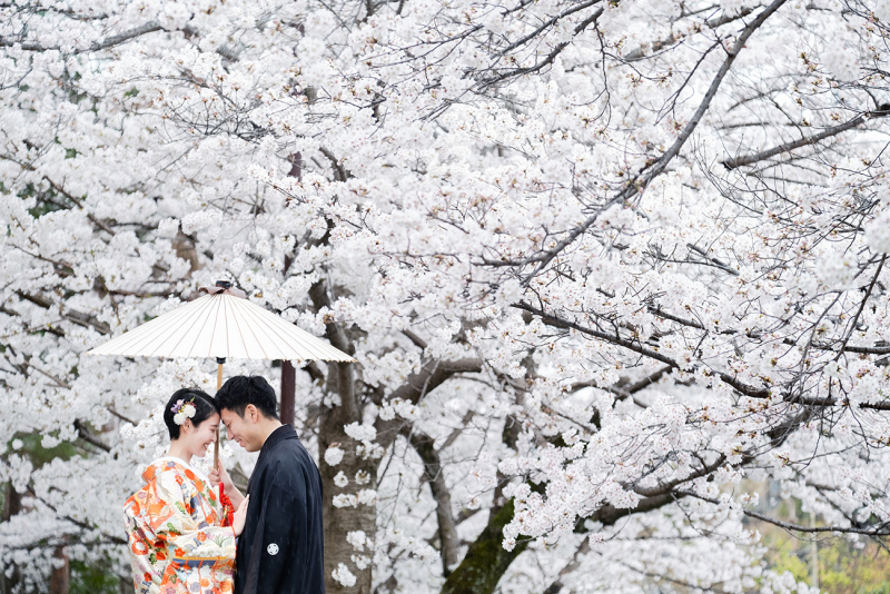 溢れる桜を背景に
