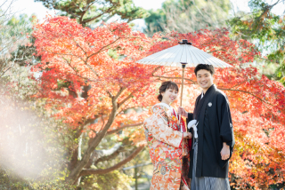 １２月初旬の紅葉フォト