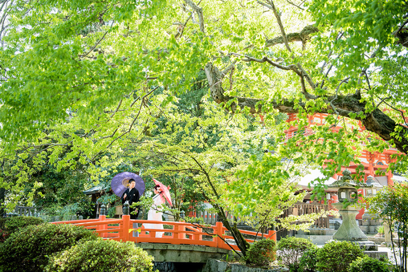 新緑がこんにちわ