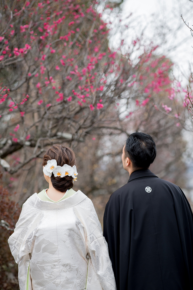 小さな可愛いお花を見つめて