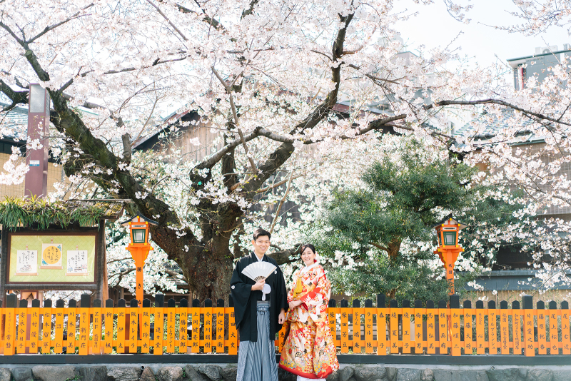 祇園の桜も満開