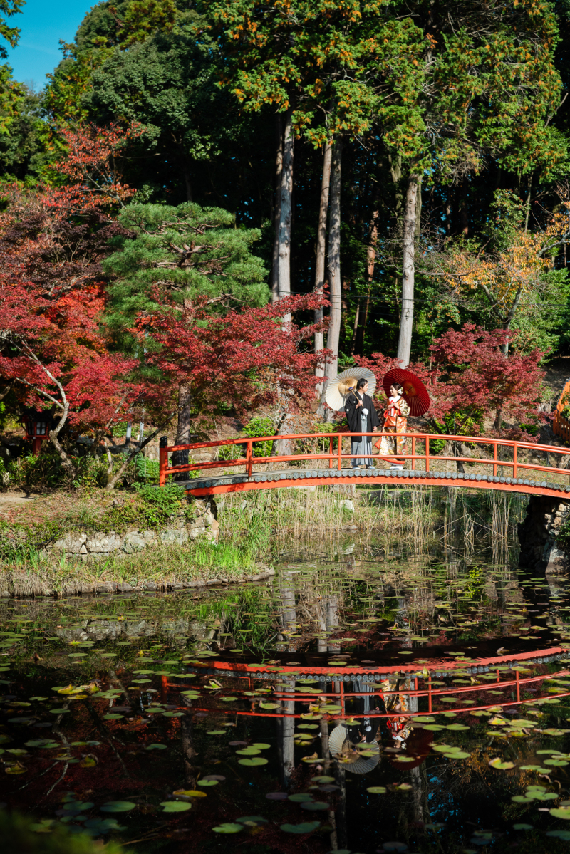 池のイメージも