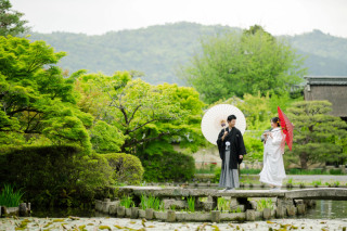 雨上がりの撮影