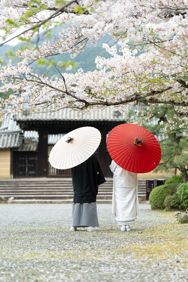 ありがとうございます。