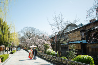 桜最新情報２０２１