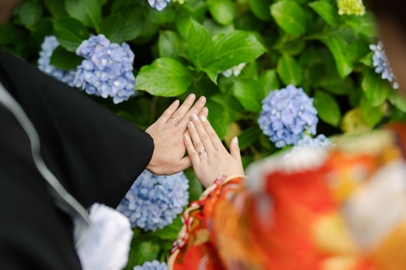 京都の紫陽花