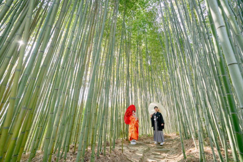 竹林公園らしく