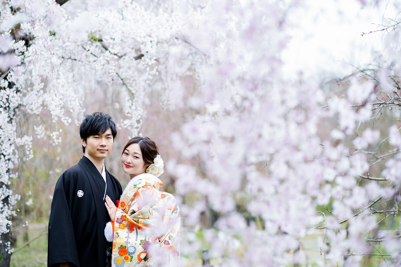 桜と町家での和装前撮りのススメ