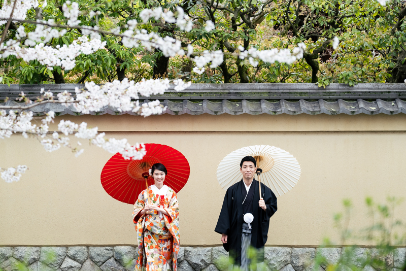 桜と和傘といい感じの壁と