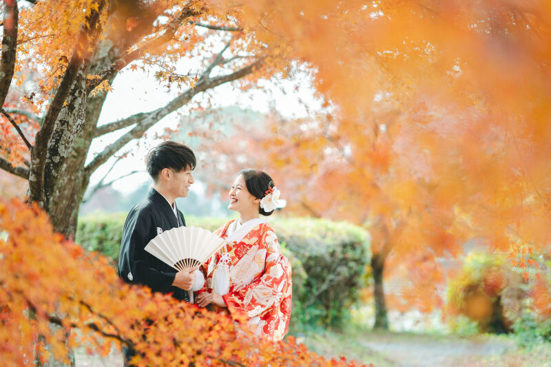 紅葉のタイミング