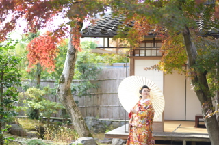 秋のプレミアムプラン、そろそろご予約受付開始