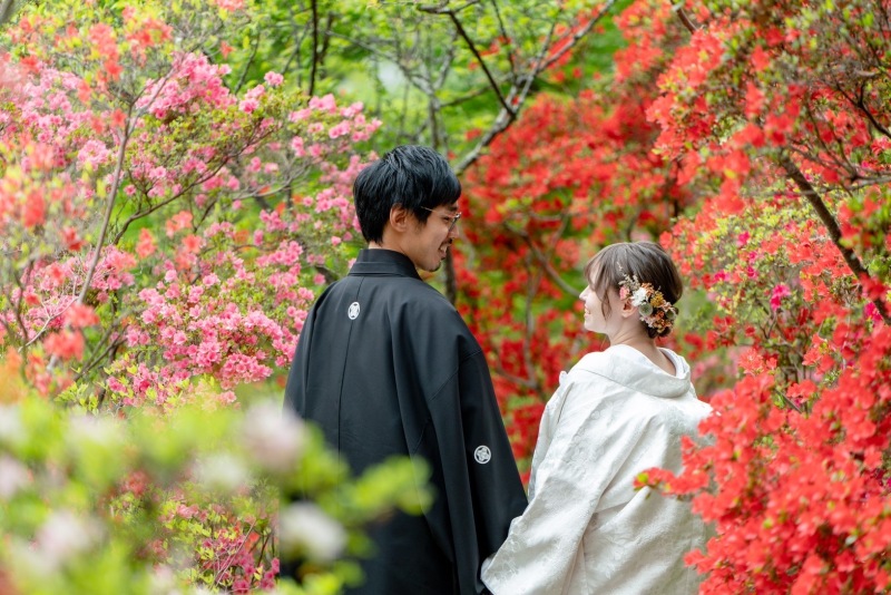 満開のキリシマツツジ