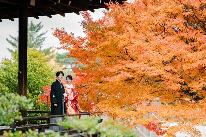 紅葉も綺麗な大覚寺
