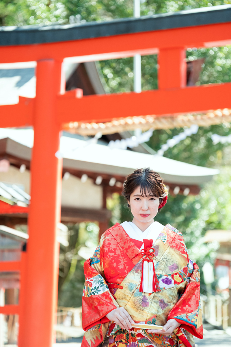 調和のとれた色合い