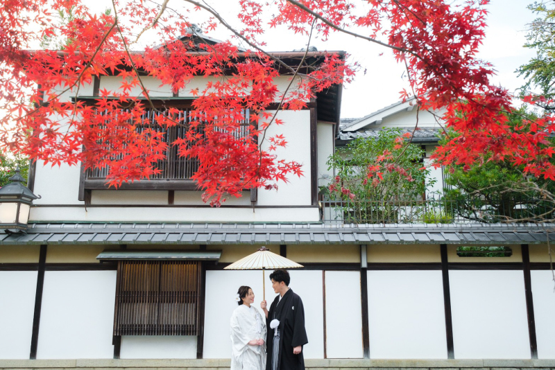 真っ赤なモミジ