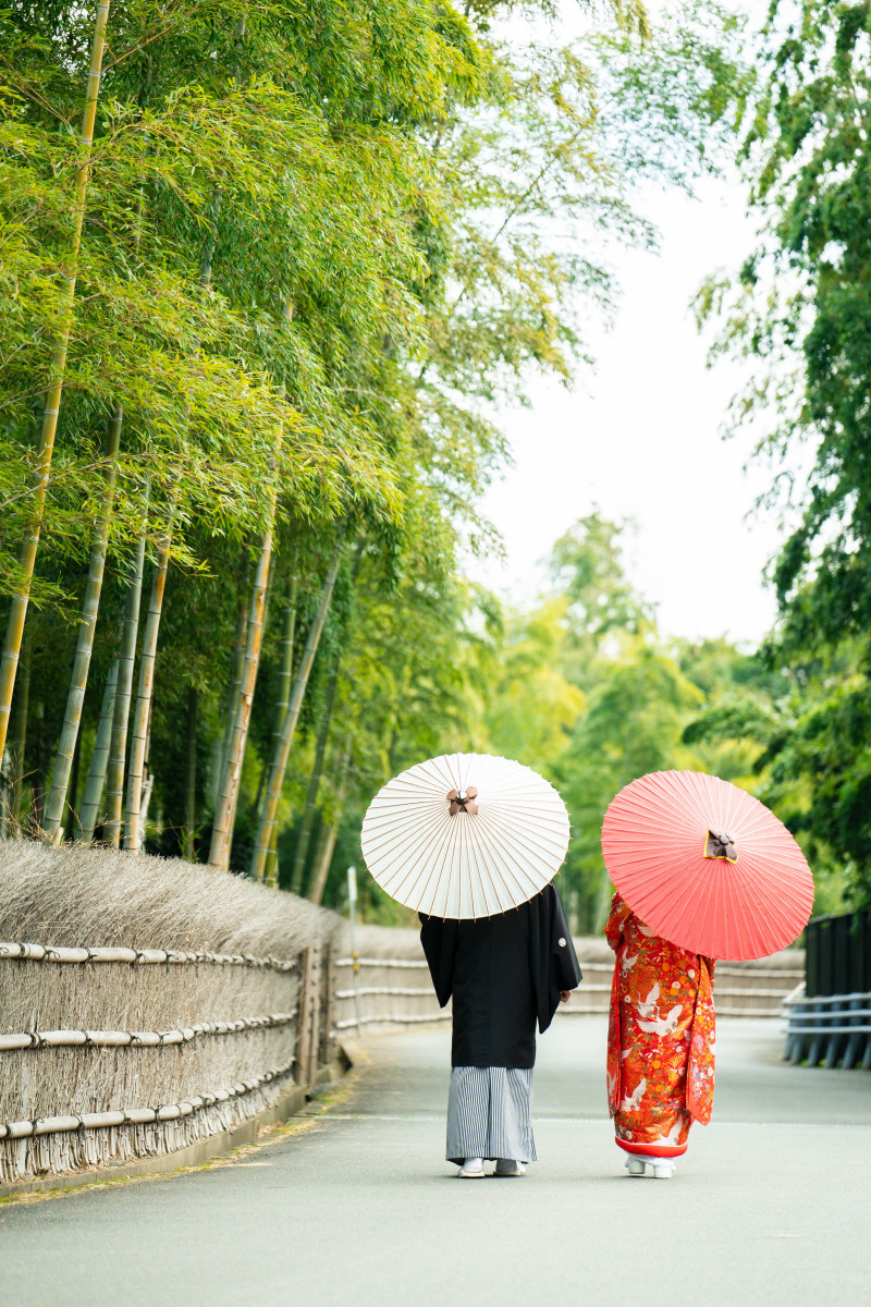 お昼からの撮影